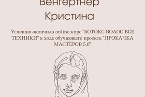 Диплом / сертификат №13 — Венгертнер Кристина Николаевна