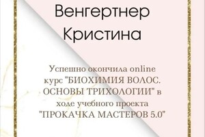 Диплом / сертификат №9 — Венгертнер Кристина Николаевна