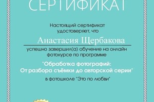 Диплом / сертификат №1 — Щербакова Анастасия Дмитриевна