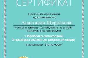 Диплом / сертификат №15 — Щербакова Анастасия Дмитриевна