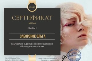 Диплом / сертификат №4 — Заборонок Ольга