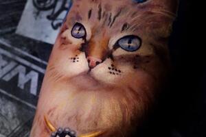 Cat — Исхаков Рамиль Халимович
