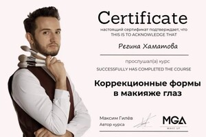 Диплом / сертификат №4 — Васиатуллина Регина Ренатовна