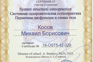 Системная оздоровительная остеопрактика; Первичная дисфункция и схемы тела — Косов Михаил Борисович