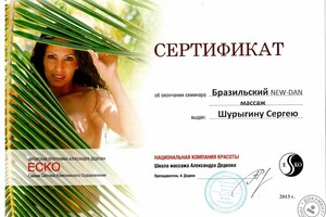 Диплом / сертификат №4 — Шурыгин Сергей Сергеевич