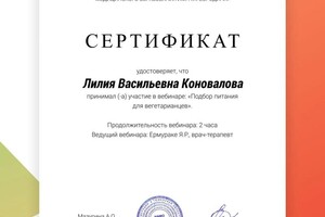 Диплом / сертификат №1 — Коновалова Лилия Васильевна