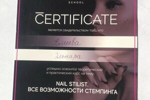 Диплом / сертификат №5 — Алиева Эльнара Абдуризаковна