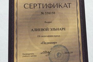 Диплом / сертификат №6 — Алиева Эльнара Абдуризаковна