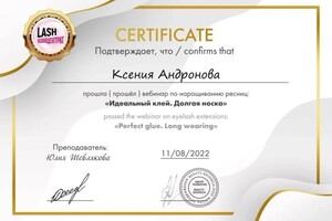 Диплом / сертификат №6 — Андронова Ксения Валерьевна