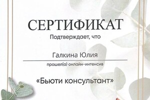 Диплом / сертификат №4 — Галкина Юлия Геннадьевна