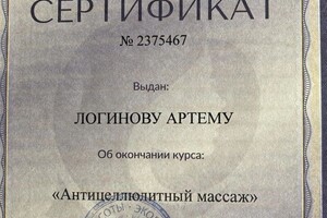 Диплом / сертификат №2 — Логинов Артем Викторович