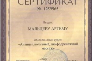 Диплом / сертификат №1 — Мальцев Артем Валерьевич