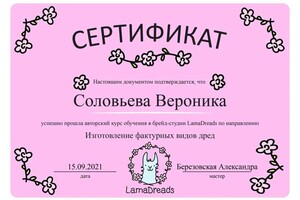 Диплом / сертификат №17 — Соловьева Вероника Евгеньевна