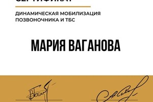 Диплом / сертификат №2 — Ваганова Мария Владимировна