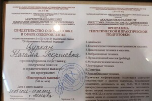 Диплом / сертификат №1 — Цуркан Наталья Георгиевна