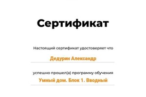 Диплом / сертификат №3 — Дедурин Александр Викторович