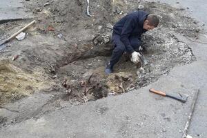 Выкорчевали пень 50см в диаметре,центр города. — Сошников Владимир Алексеевич
