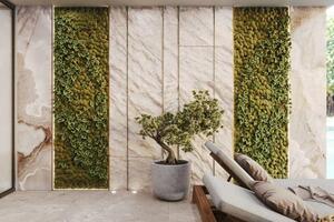 Andrei COROI ECATERINA — Портфолио №1