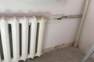 Бабодей Денис Борисович — Покраска радиаторов — Портфолио №61