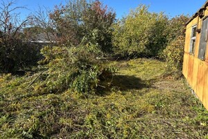 Емельяненко Виктор Иванович — Портфолио №3