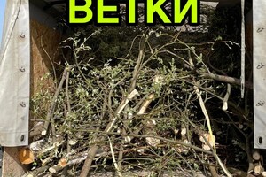 Капитанов Николай Игоревич — Портфолио №14