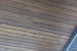 ShveD ShveD Виталий — Портфолио №10