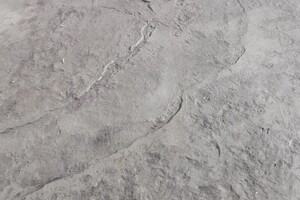 Ярунин Денис Олегович — Портфолио №6