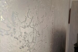 Жаркая Светлана Владимировна — Портфолио №13