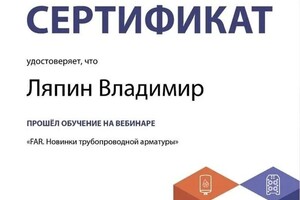 Диплом / сертификат №3 — Ляпин Владимир Валерьевич