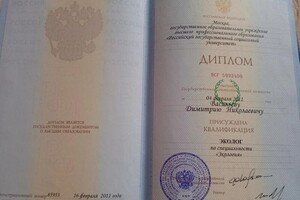 Диплом / сертификат №1 — Васильев Димитрий Николаевич