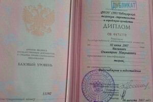 Диплом / сертификат №3 — Васильев Димитрий Николаевич