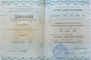 Диплом / сертификат №2 — Васильев Андрей Валентинович