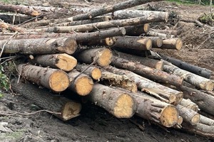 Очистка территории — Евдокимов Вадим Юрьевич