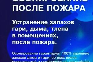 Тотальная дезинфекция без применения химии — Давыденко Евгений Валерьевич