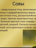 Мустафин Руслан Римович — сантехник, мастер на все руки, отделочник (Казань)