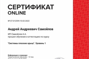 Диплом / сертификат №6 — Самойлов Андрей Андреевич