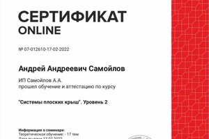 Диплом / сертификат №7 — Самойлов Андрей Андреевич