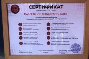 Диплом / сертификат №2 — Мавлетянов Денис Рамильевич