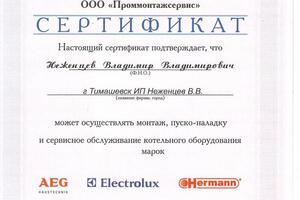 Диплом / сертификат №4 — Неженцев Владимир Владимирович