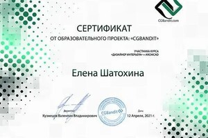 Диплом / сертификат №1 — Шатохина Елена Анатольевна