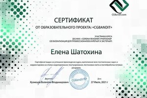 Диплом / сертификат №2 — Шатохина Елена Анатольевна