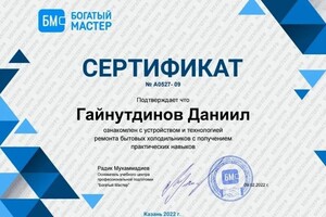 Диплом / сертификат №4 — Гайнутдинов Даниил Рафаилович