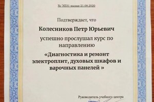 Диплом / сертификат №2 — Колесников Пётр Юрьевич