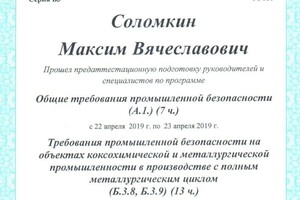 Диплом / сертификат №13 — Соломкин Максим Вячеславович