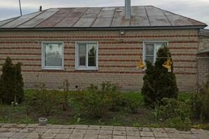 Покраска — Шинкарёв Дмитрий Олегович