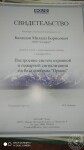 Диплом / сертификат №2 — Балашов Михаил Борисович