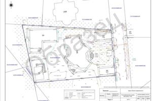 Топографический план земельного участка в масштабе 1:200, для ландшафтного проектирования — Баранов Андрей Олегович