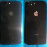 Замена задней крышки iPhone 8 Plus. Выглядит немного иначе, но качество огонь. — Дубов Антон Дмитриевич