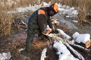 Работа в водоёме — Дяшкин Александр Евгеньевич