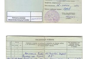 Диплом / сертификат №5 — Егиян Вилен Юрьевич